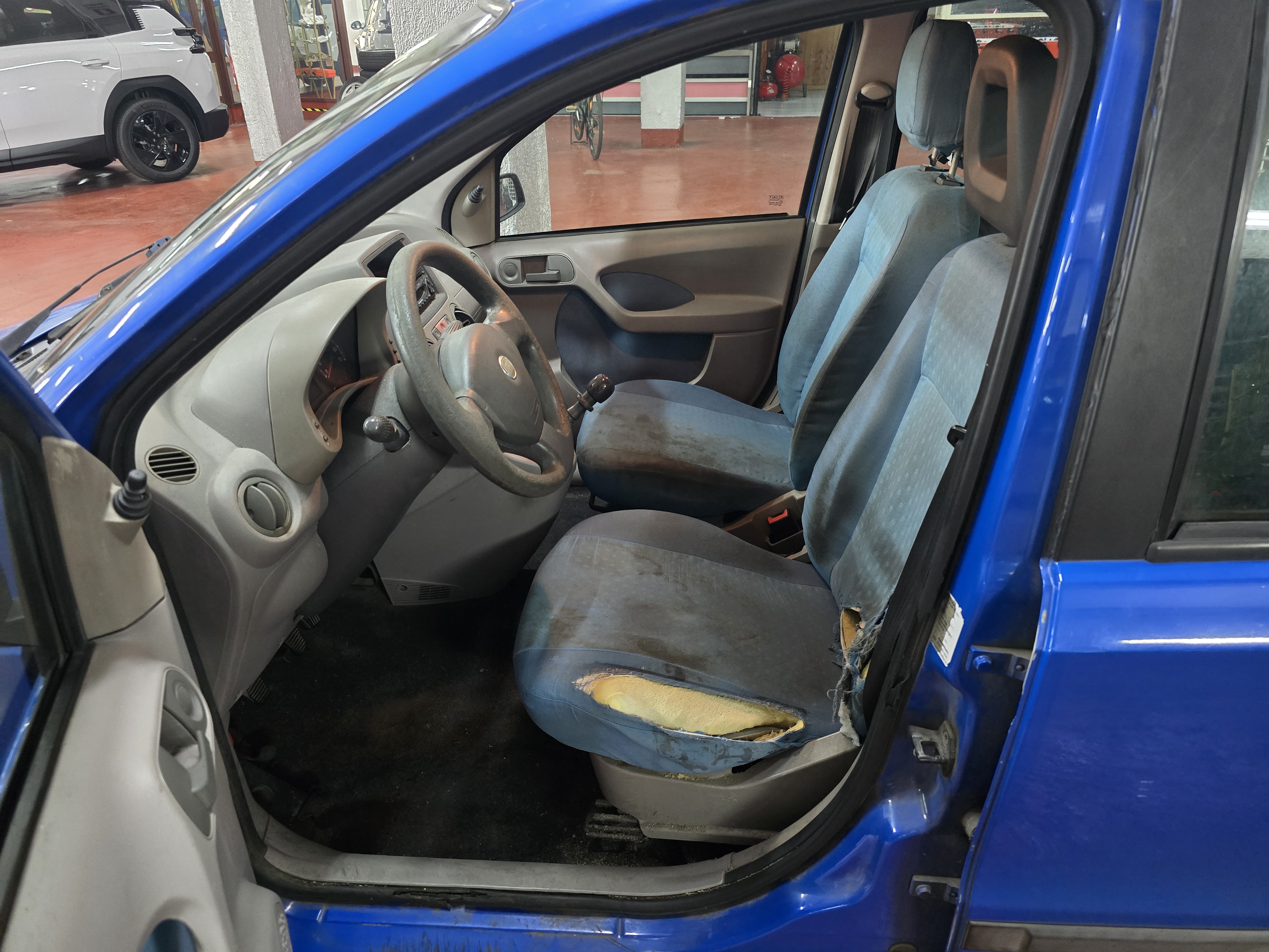 FIAT Panda 1.2 60cv Dynamic - Foto 6