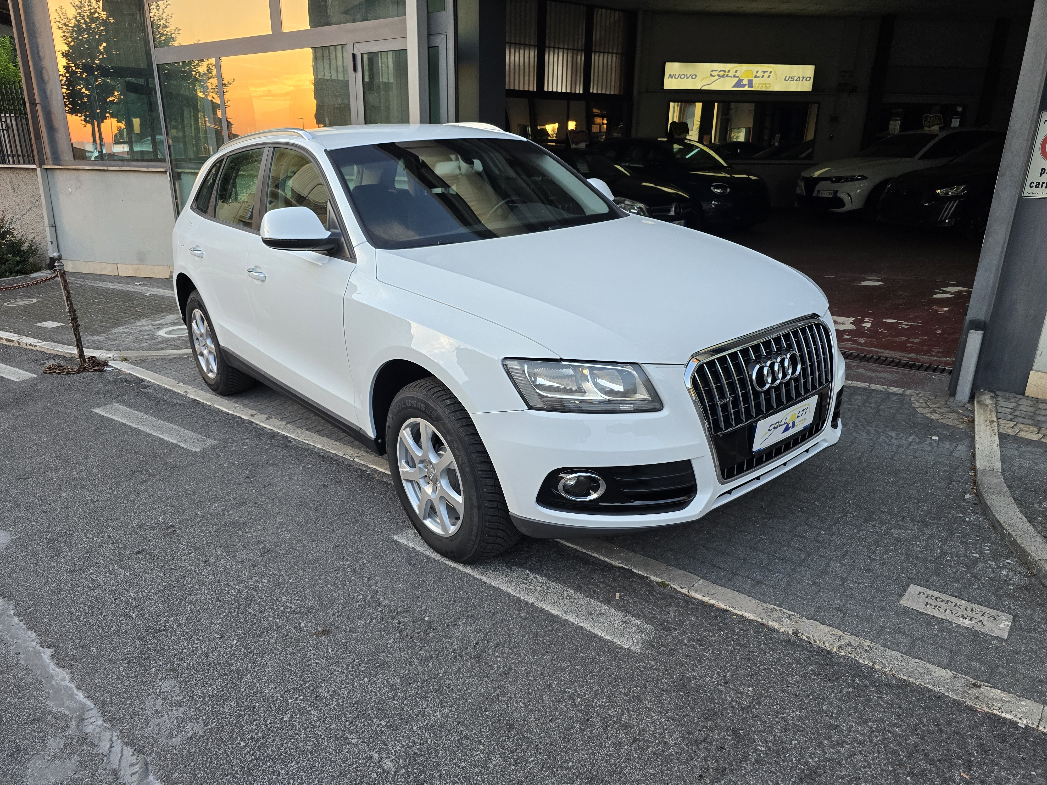 AUDI Q5 2.0 TDI 163cv clean diesel quattro S tronic Business 2016 - Usata in vendita a Ferentino
